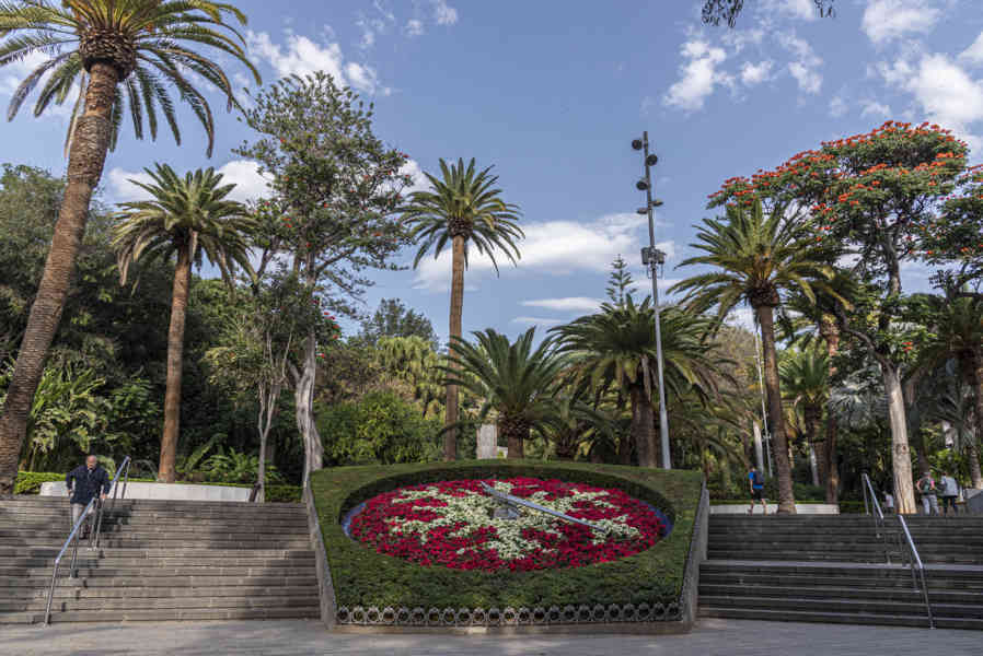 Tenerife 057 - Santa Cruz de Tenerife - parque García Sanabria - reloj de flores.jpg